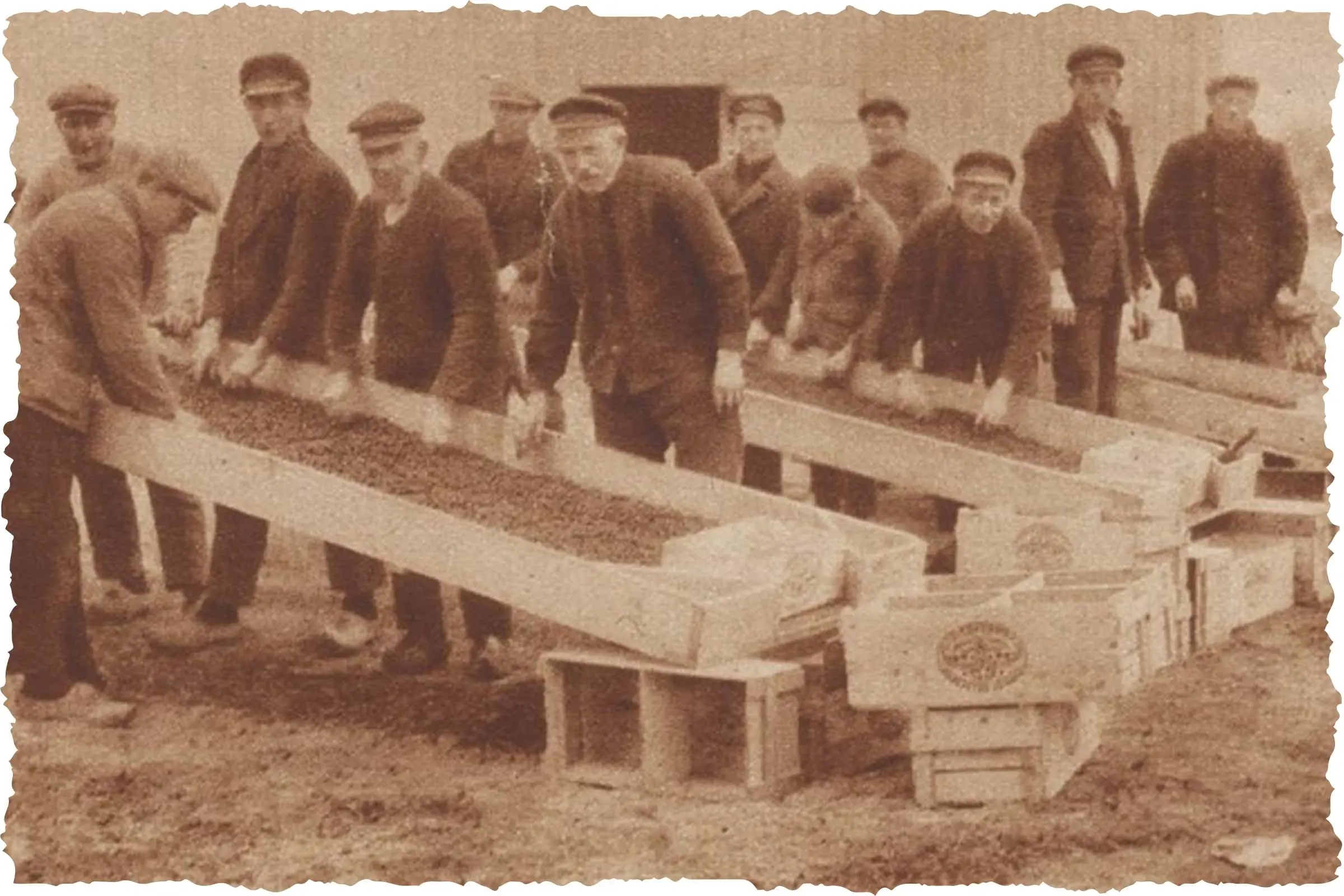 geschiedenis_verzadigde_markt